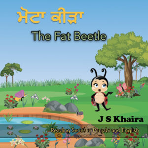 Punjabi Books