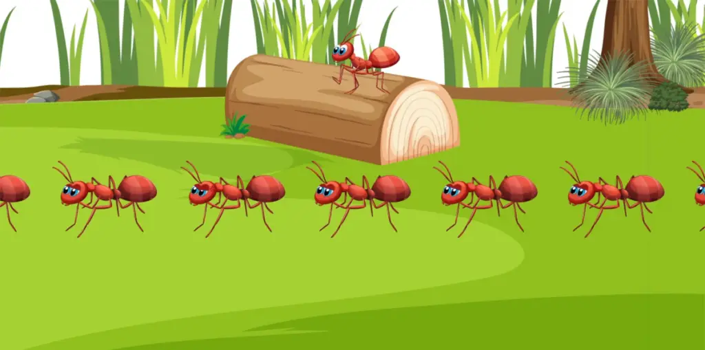 Agile Ant, learn to read punjabi