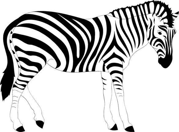 zebra