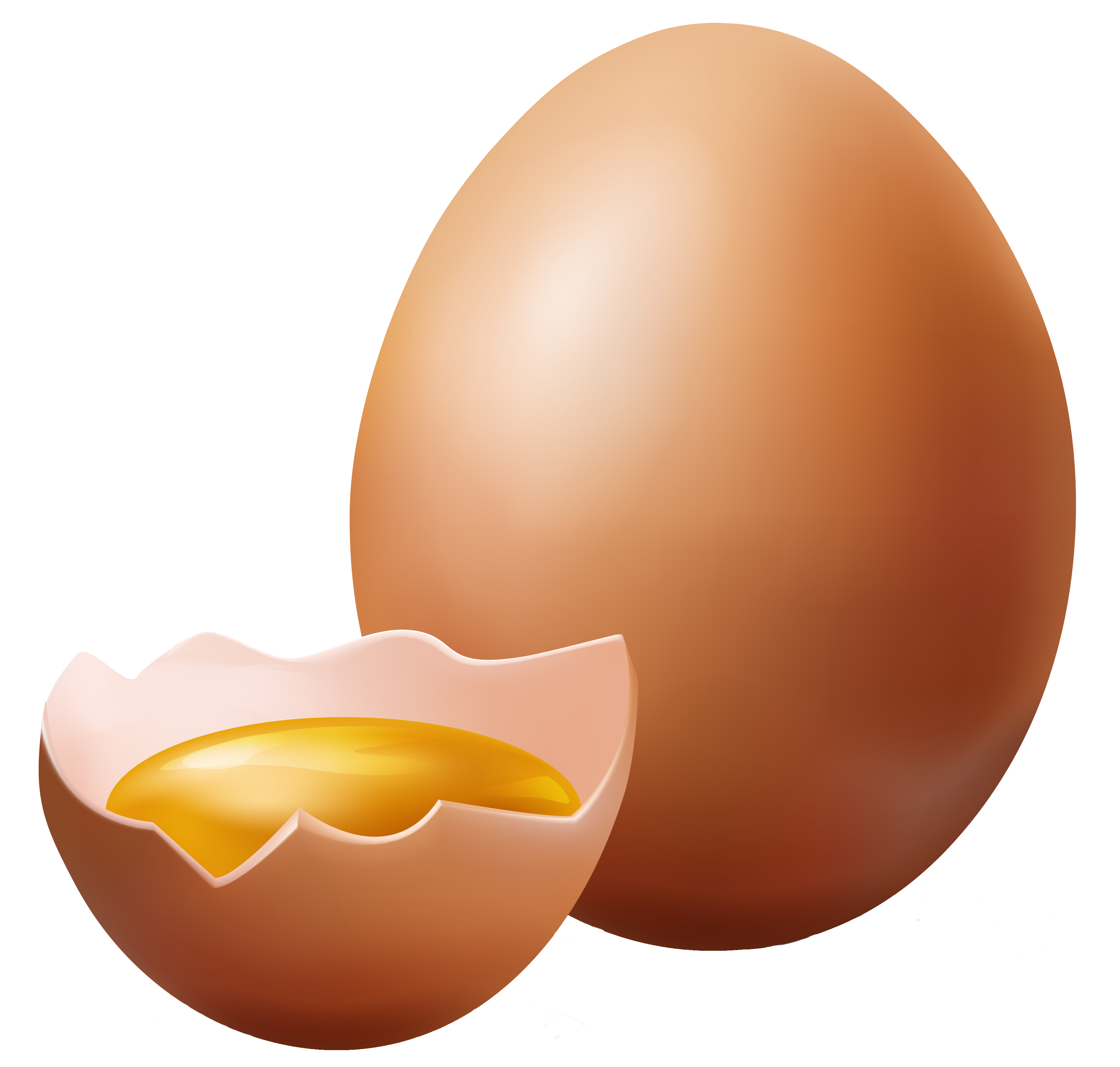 egg
